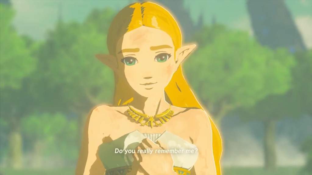 Breath of the Wild: The Hero Who Never Was